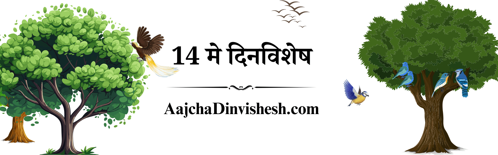 14 may dinvishesh